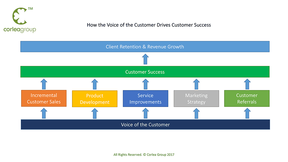 VoC-and-Customer-Success-Model-2017-V1